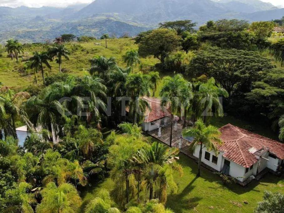 Finca en venta Antioquia Tarso Tarso 500 m2 Habitaciones 6 Baños 2 Garajes 0 Precio $2800000000