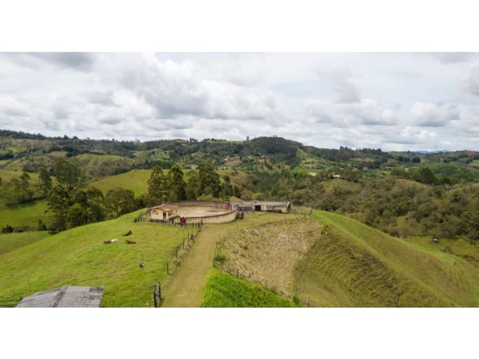 Lote en venta Antioquia San Vicente San Vicente 350 m2 Habitaciones 0 Baños 0 Garajes 0 Precio $750000000