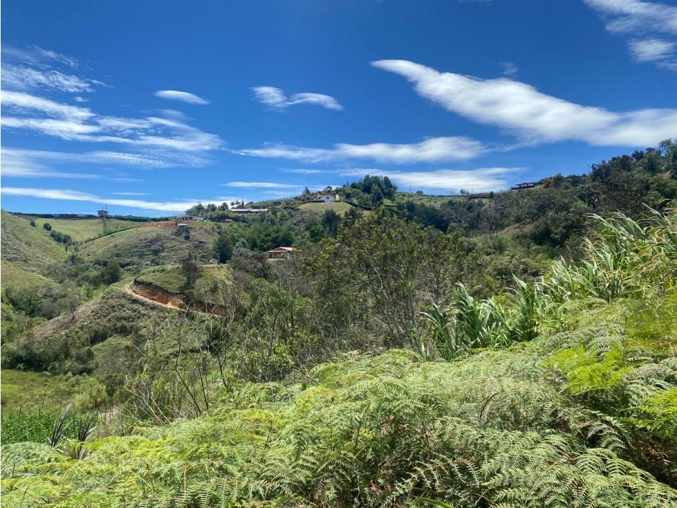 Lote en venta Antioquia San Vicente San Vicente 3334 m2 Habitaciones 0 Baños 0 Garajes 0 Precio $238000000