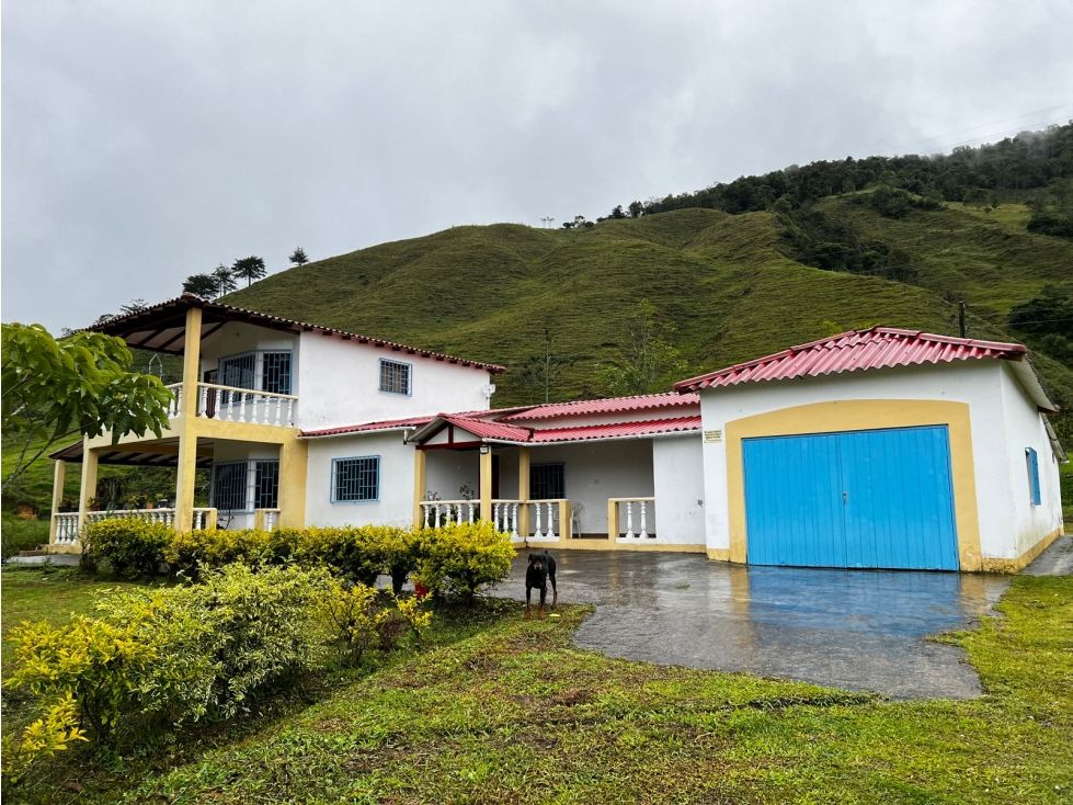 Finca en venta Antioquia Urrao Urrao 500 m2 Habitaciones 7 Baños 4 Garajes 8 Precio $1400000000