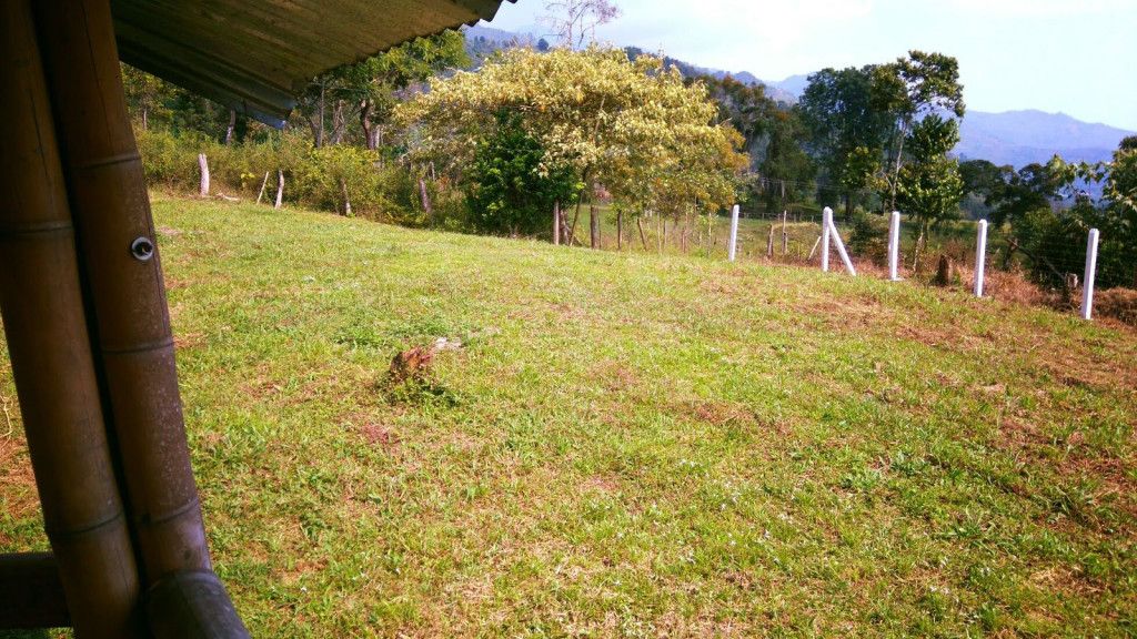 Lote en venta Valle Del Cauca Palmira Palmira 36 m2 Habitaciones 0 Baños 0 Garajes 0 Precio $320000000