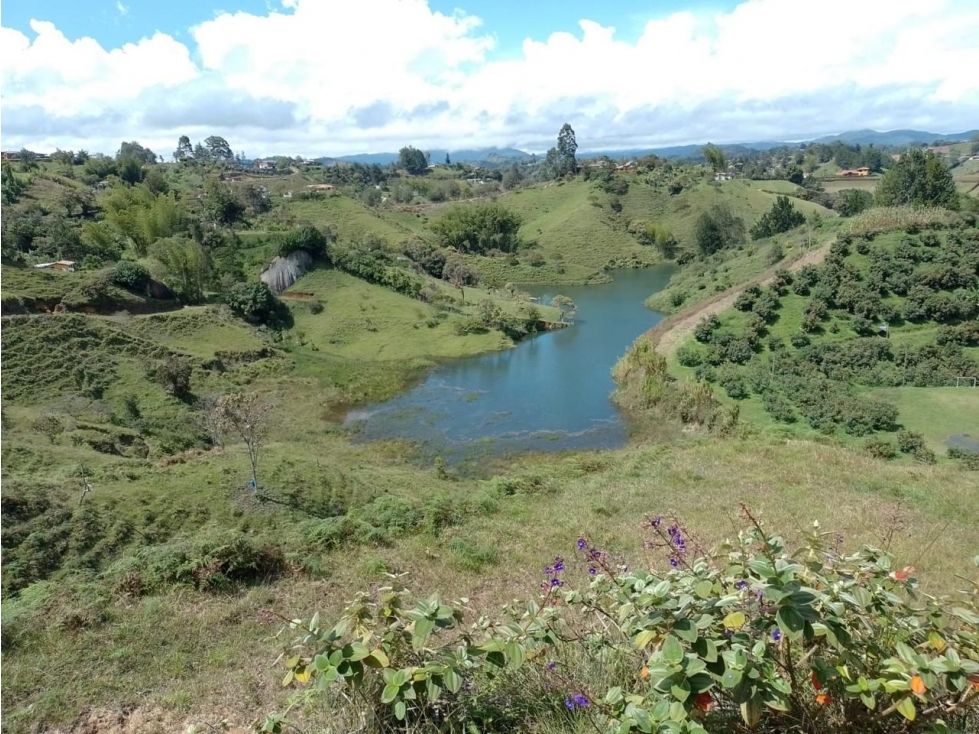 Lote en venta Antioquia Peñol Peñol 3431 m2 Habitaciones 0 Baños 0 Garajes 0 Precio $530000000