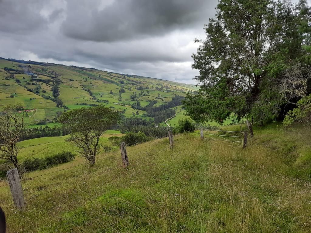 Finca en venta Cundinamarca Suesca Suesca 850 m2 Habitaciones 6 Baños 8 Garajes 15 Precio $21000000000