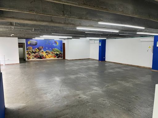 Bodega en arriendo Antioquia Envigado Primavera 300 m2 Habitaciones 0 Baños 4 Garajes 1 Precio $9500000