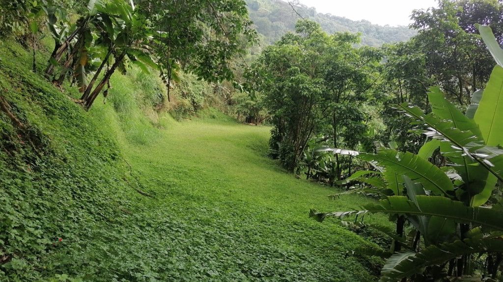 Lote en venta Valle Del Cauca Yumbo Yumbo 0 m2 Habitaciones 0 Baños 0 Garajes 0 Precio $430000000