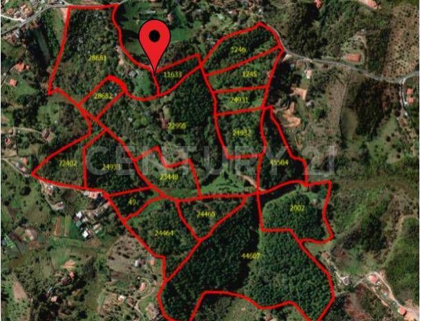 Lote en venta Antioquia Rionegro Rionegro 1600 m2 Habitaciones 0 Baños 10 Garajes 10 Precio $55000000000