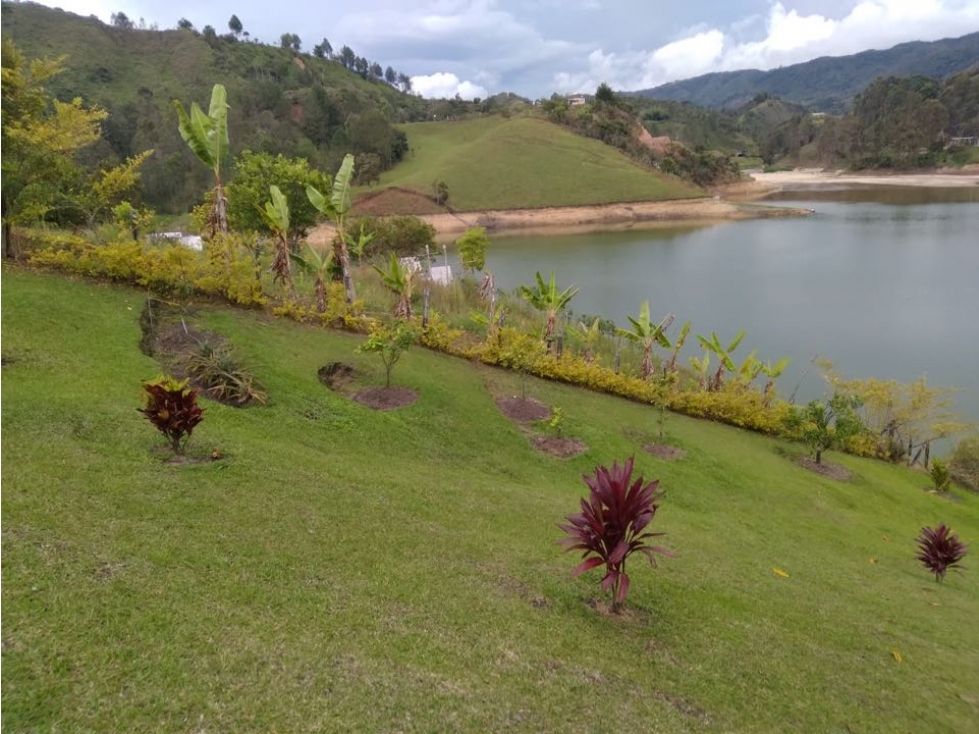 Casa en venta Antioquia Guatape Guatape 90 m2 Habitaciones 2 Baños 2 Garajes 0 Precio $1600000000