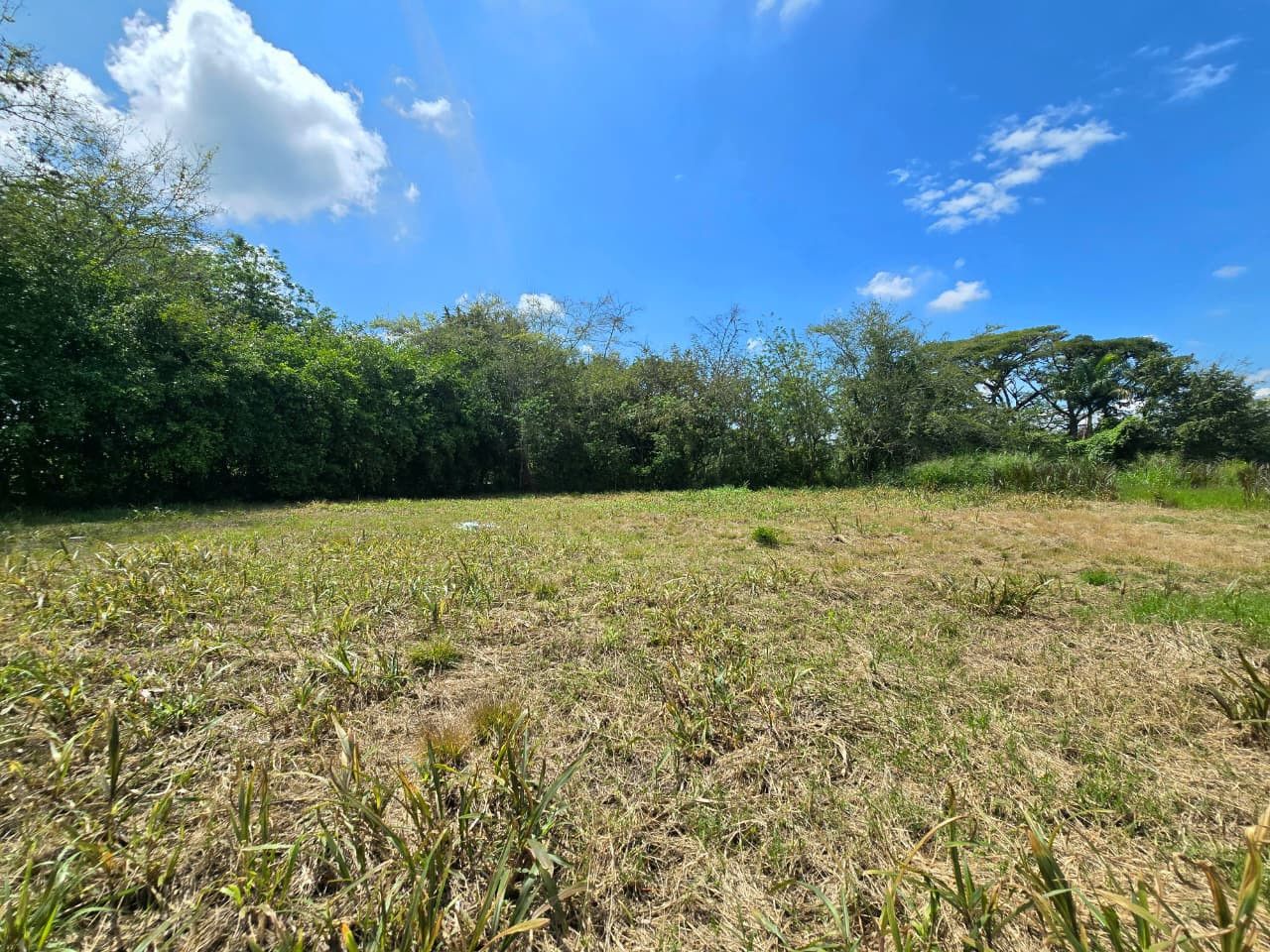 Lote en venta Valle Del Cauca El Cerrito Otros 0 m2 Habitaciones 0 Baños 0 Garajes 0 Precio $245000000
