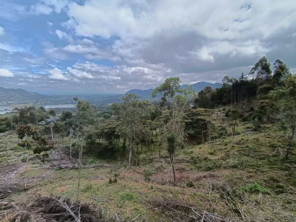Lote en venta Antioquia La Unión La Unión 0 m2 Habitaciones 0 Baños 0 Garajes 0 Precio $2500000000