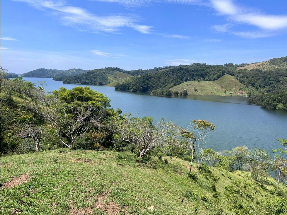 Lote en venta Antioquia San Roque San Roque 5000 m2 Habitaciones 0 Baños 0 Garajes 0 Precio $240000000