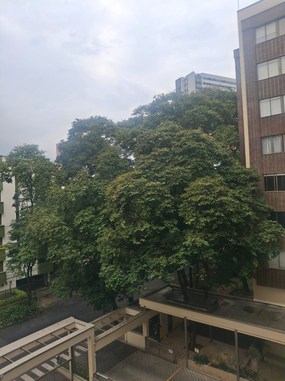 Apartamento en arriendo Antioquia Envigado Bosques De Zúñiga 90 m2 Habitaciones 3 Baños 2 Garajes 1 Precio $4500000