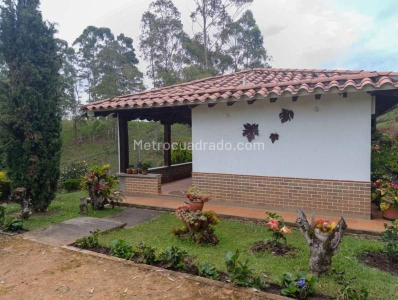 Finca en venta Antioquia El Carmen De Viboral El Carmen De Viboral 120 m2 Habitaciones 2 Baños 2 Garajes 0 Precio $2500000000