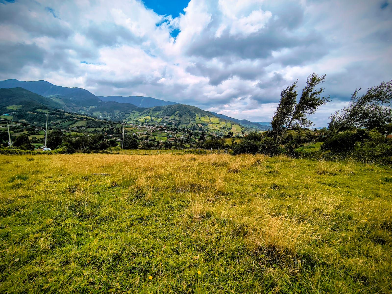 Lote Rural en venta Nariño Pasto San Felipe 20 m2 Habitaciones 0 Baños 0 Garajes 0 Precio $350000000