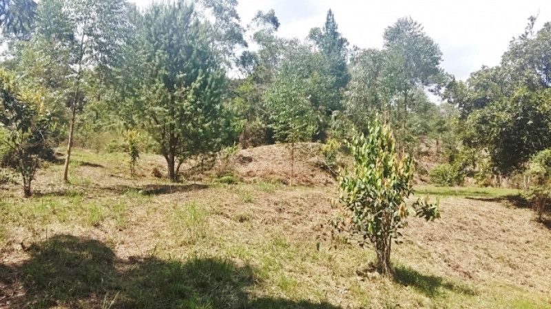 Lote en venta Antioquia Rionegro Centro 1 m2 Habitaciones 0 Baños 0 Garajes 0 Precio $850000000