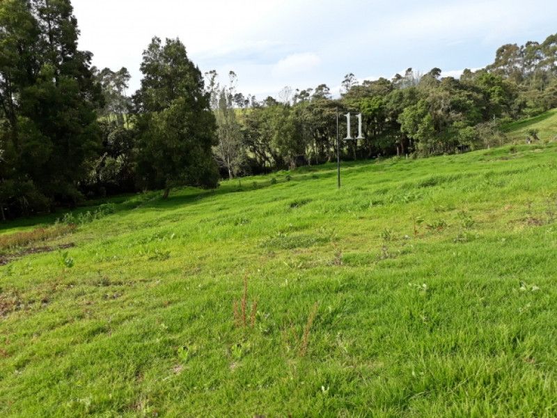 Lote en venta Antioquia Envigado Obrero 1 m2 Habitaciones 0 Baños 0 Garajes 0 Precio $1419000000