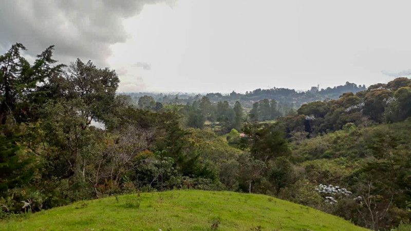 Lote en venta Antioquia Rionegro Urbanizacion Altos De Pereira 1 m2 Habitaciones 0 Baños 0 Garajes 0 Precio $3000000000