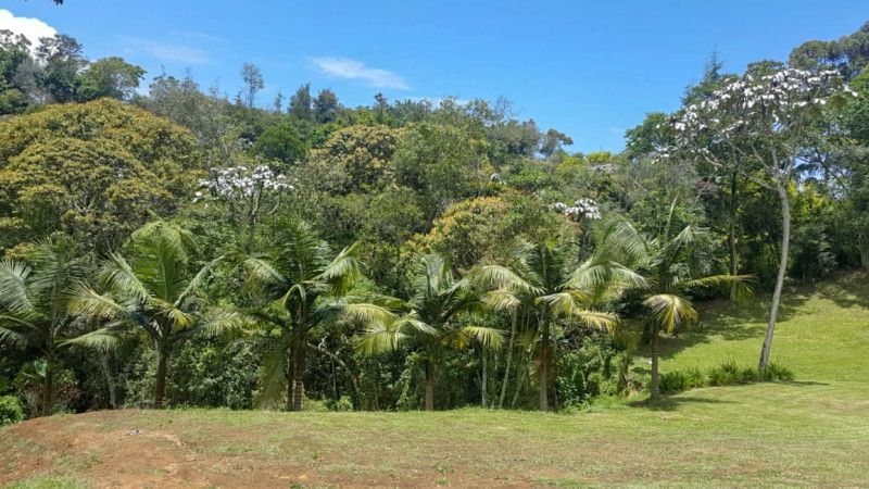 Lote en venta Antioquia El Carmen De Viboral El Centro 1 m2 Habitaciones 0 Baños 0 Garajes 0 Precio $720000000