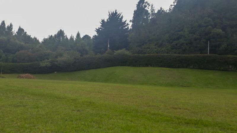 Lote en venta Antioquia Envigado Jardines 1 m2 Habitaciones 0 Baños 0 Garajes 0 Precio $2000320000