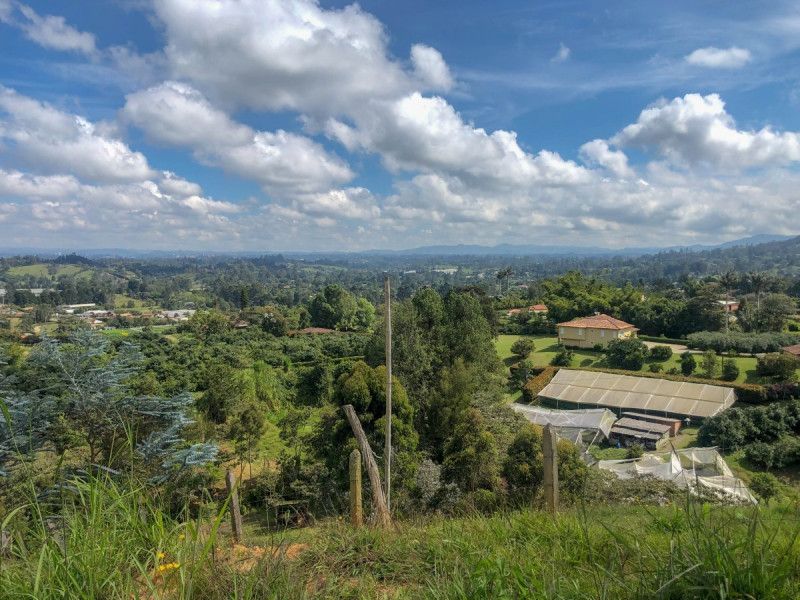 Lote en venta Antioquia Rionegro El Porvenir 1 m2 Habitaciones 0 Baños 0 Garajes 0 Precio $480000000
