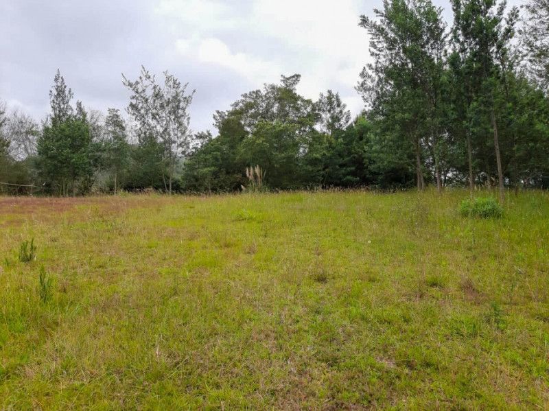 Lote en venta Antioquia Envigado Bosques De Zúñiga 1 m2 Habitaciones 0 Baños 0 Garajes 0 Precio $1280000000