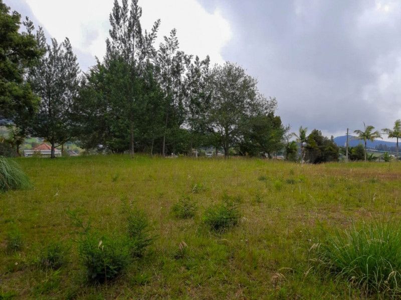 Lote en venta Antioquia Envigado Bosques De Zúñiga 1 m2 Habitaciones 0 Baños 0 Garajes 0 Precio $1280000000