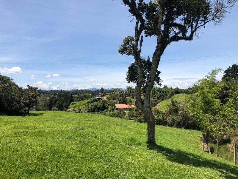 Lote en venta Antioquia Rionegro Centro 1 m2 Habitaciones 0 Baños 0 Garajes 0 Precio $1850000000