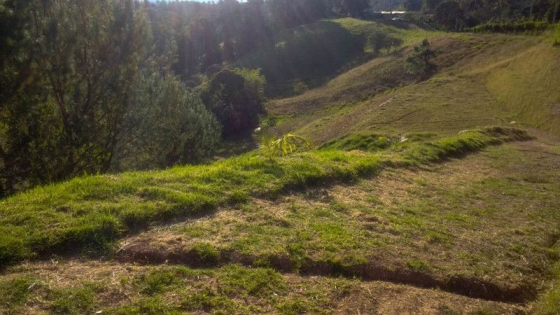 Lote en venta Antioquia El Retiro El Retiro 1 m2 Habitaciones 0 Baños 0 Garajes 0 Precio $1536360000