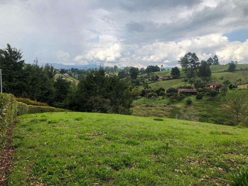 Lote en venta Antioquia El Carmen De Viboral El Centro 1 m2 Habitaciones 0 Baños 0 Garajes 0 Precio $450000000