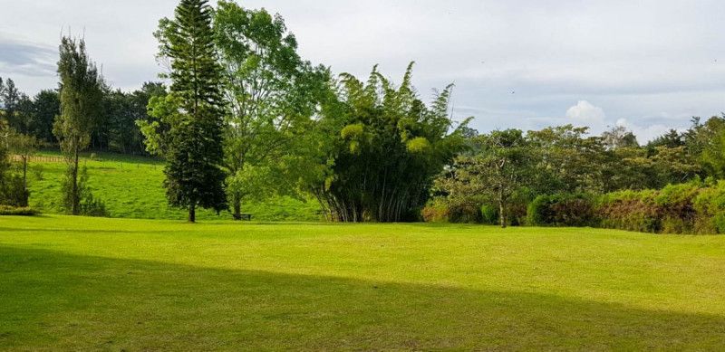 Lote en venta Antioquia Rionegro Centro 1 m2 Habitaciones 0 Baños 0 Garajes 0 Precio $2100000000