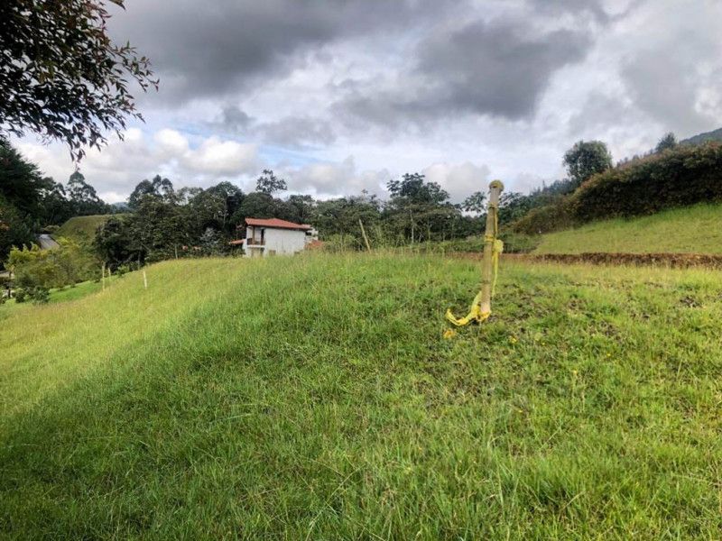 Lote en venta Antioquia La Ceja Centro 1 m2 Habitaciones 0 Baños 0 Garajes 0 Precio $565000000