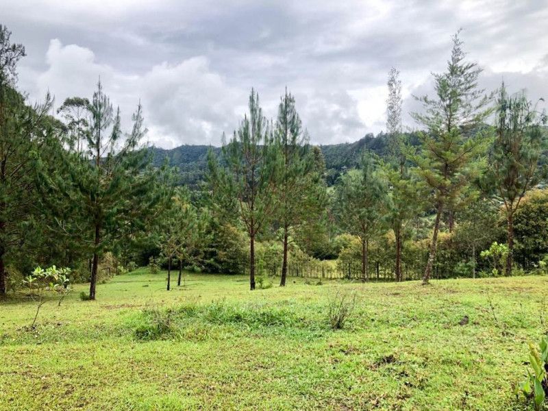 Lote en venta Antioquia El Retiro El Retiro 1 m2 Habitaciones 0 Baños 0 Garajes 0 Precio $950000000