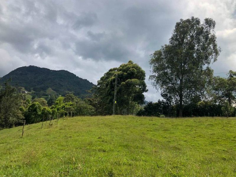 Lote en venta Antioquia La Ceja La Ceja 1 m2 Habitaciones 0 Baños 0 Garajes 0 Precio $920000000