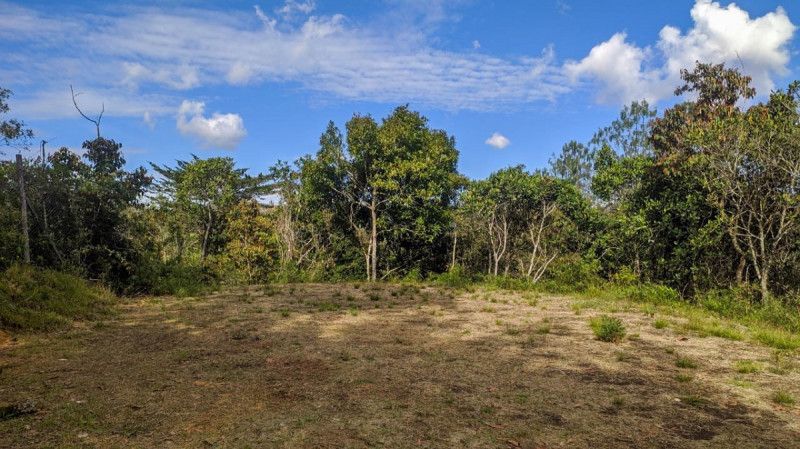 Lote en venta Antioquia El Retiro El Retiro 1 m2 Habitaciones 0 Baños 0 Garajes 0 Precio $585000000