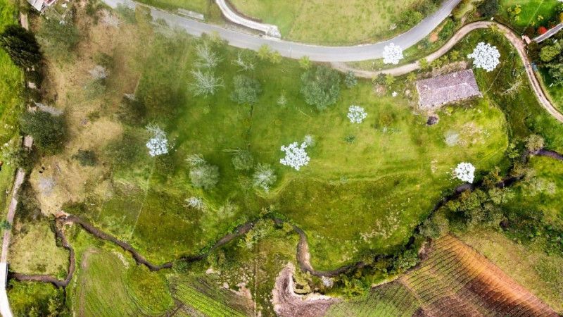 Lote en venta Antioquia La Ceja La Ceja 162 m2 Habitaciones 0 Baños 0 Garajes 0 Precio $900000000