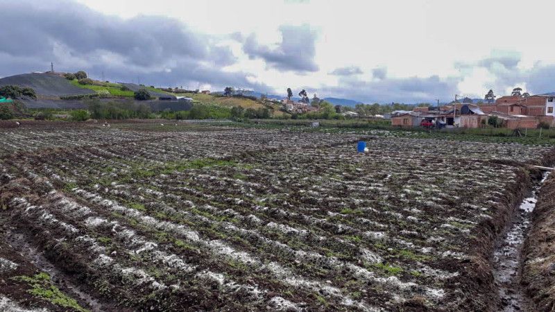 Lote en venta Antioquia La Unión La Unión 15600 m2 Habitaciones 0 Baños 0 Garajes 0 Precio $1400000000