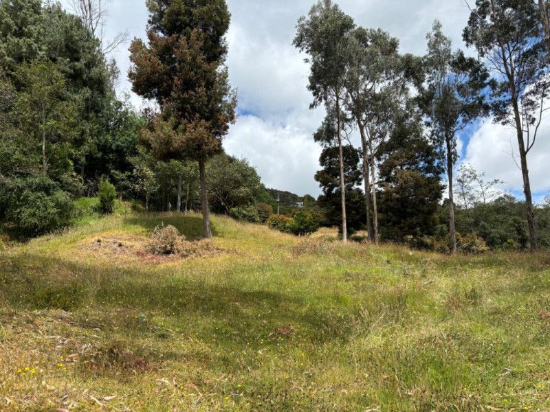 Lote en venta Cundinamarca Sesquilé Sesquile 0 m2 Habitaciones 0 Baños 0 Garajes 0 Precio $345000000
