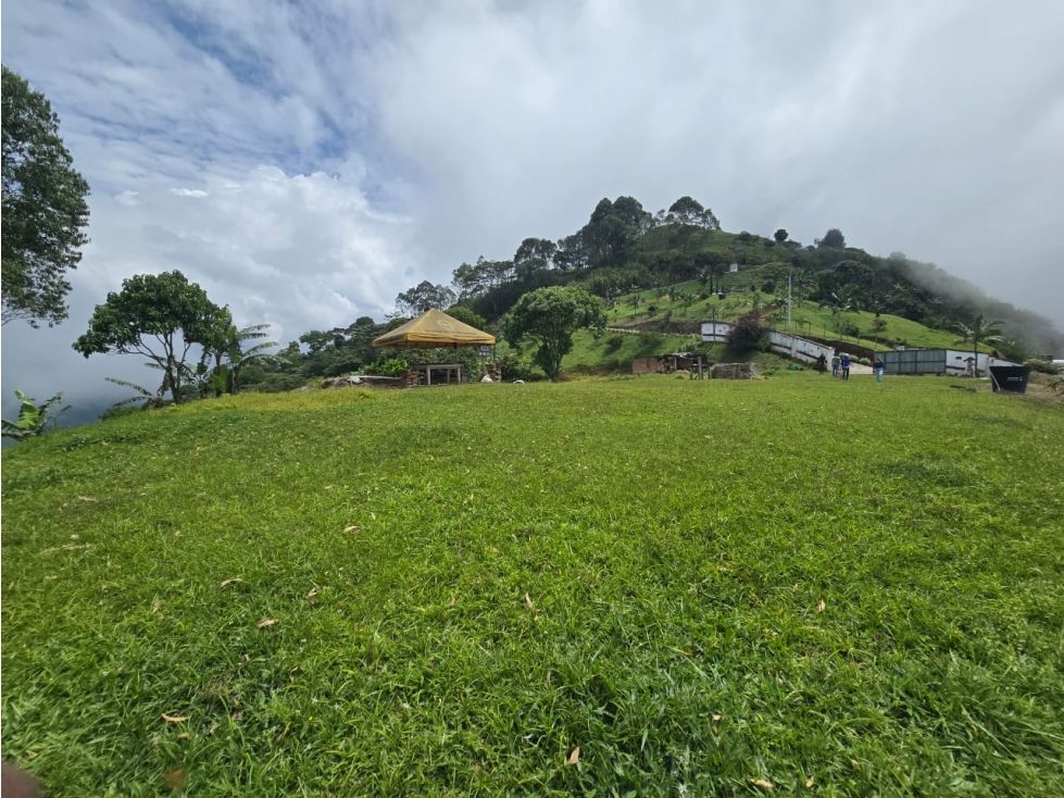 Lote en venta Antioquia Titiribí Titiribí 20000 m2 Habitaciones 0 Baños 0 Garajes 0 Precio $1200000000