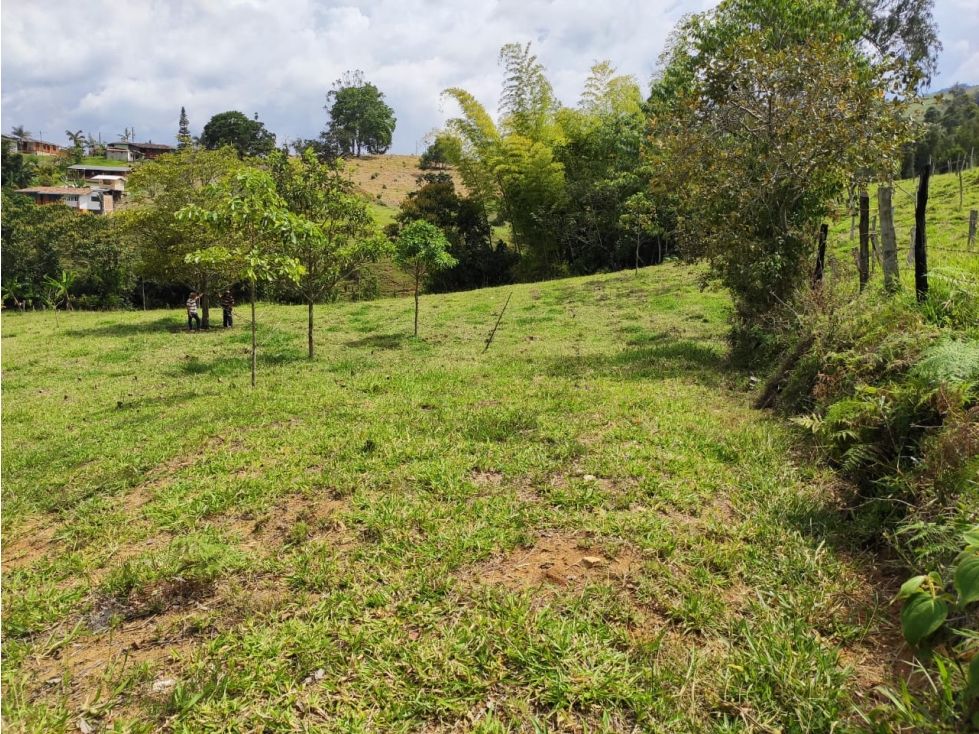 Lote en venta Antioquia Jericó Jericó 6 m2 Habitaciones 0 Baños 0 Garajes 0 Precio $750000000