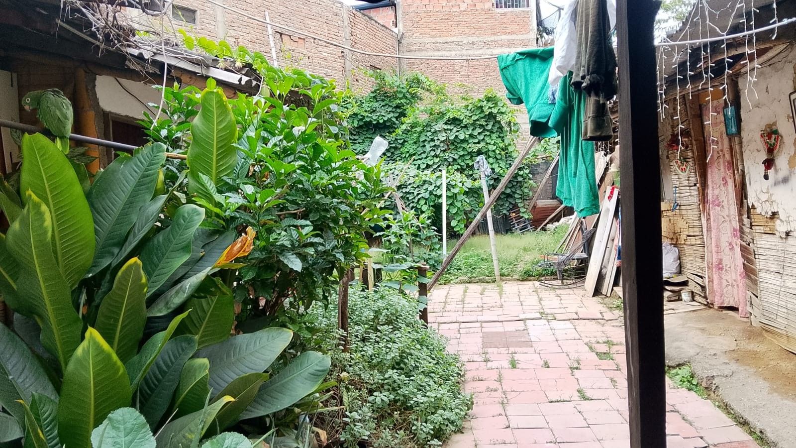 Lote en venta Valle Del Cauca Cali Puerto Mallarino 0 m2 Habitaciones 0 Baños 2 Garajes 0 Precio $890000000