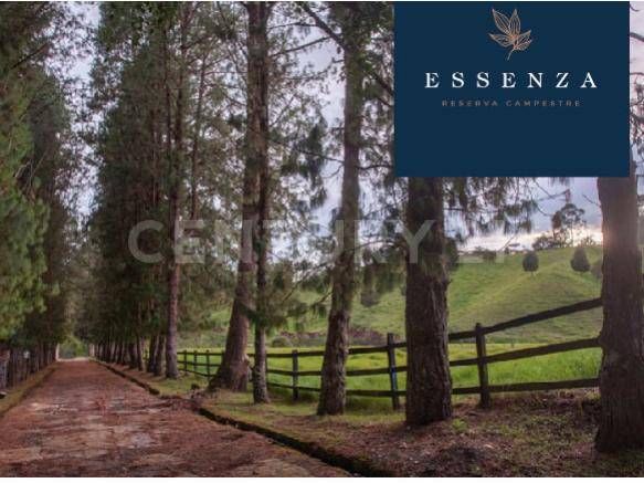 Lote en venta Antioquia Rionegro El Porvenir 1 m2 Habitaciones 0 Baños 0 Garajes 0 Precio $1320000000