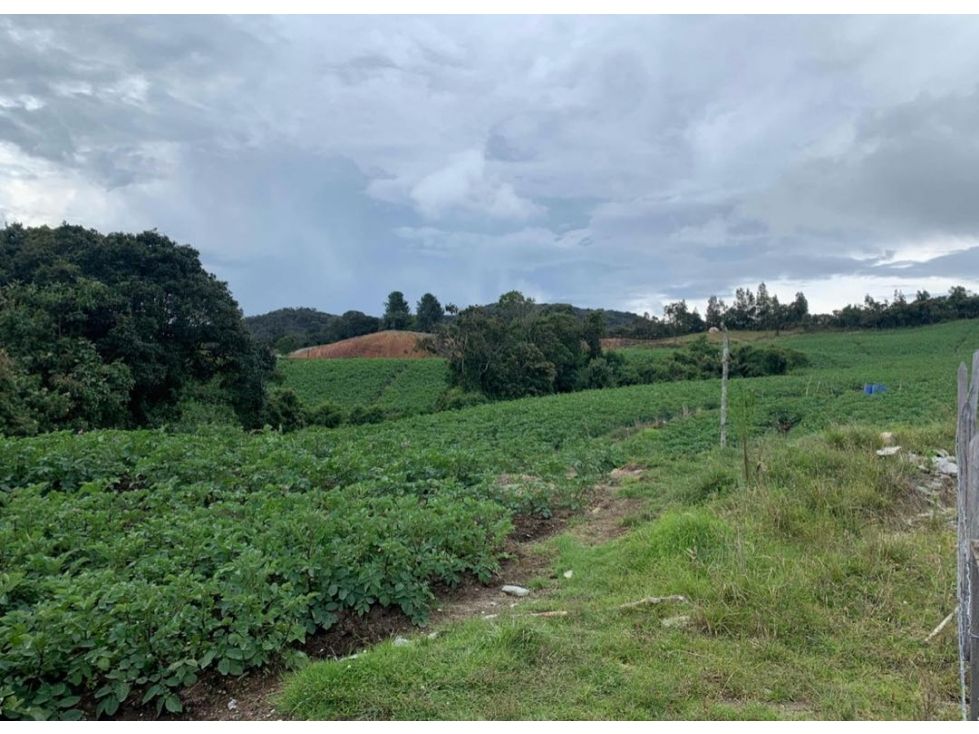 Lote en venta Antioquia La Unión La Unión 10000 m2 Habitaciones 0 Baños 0 Garajes 0 Precio $950000000