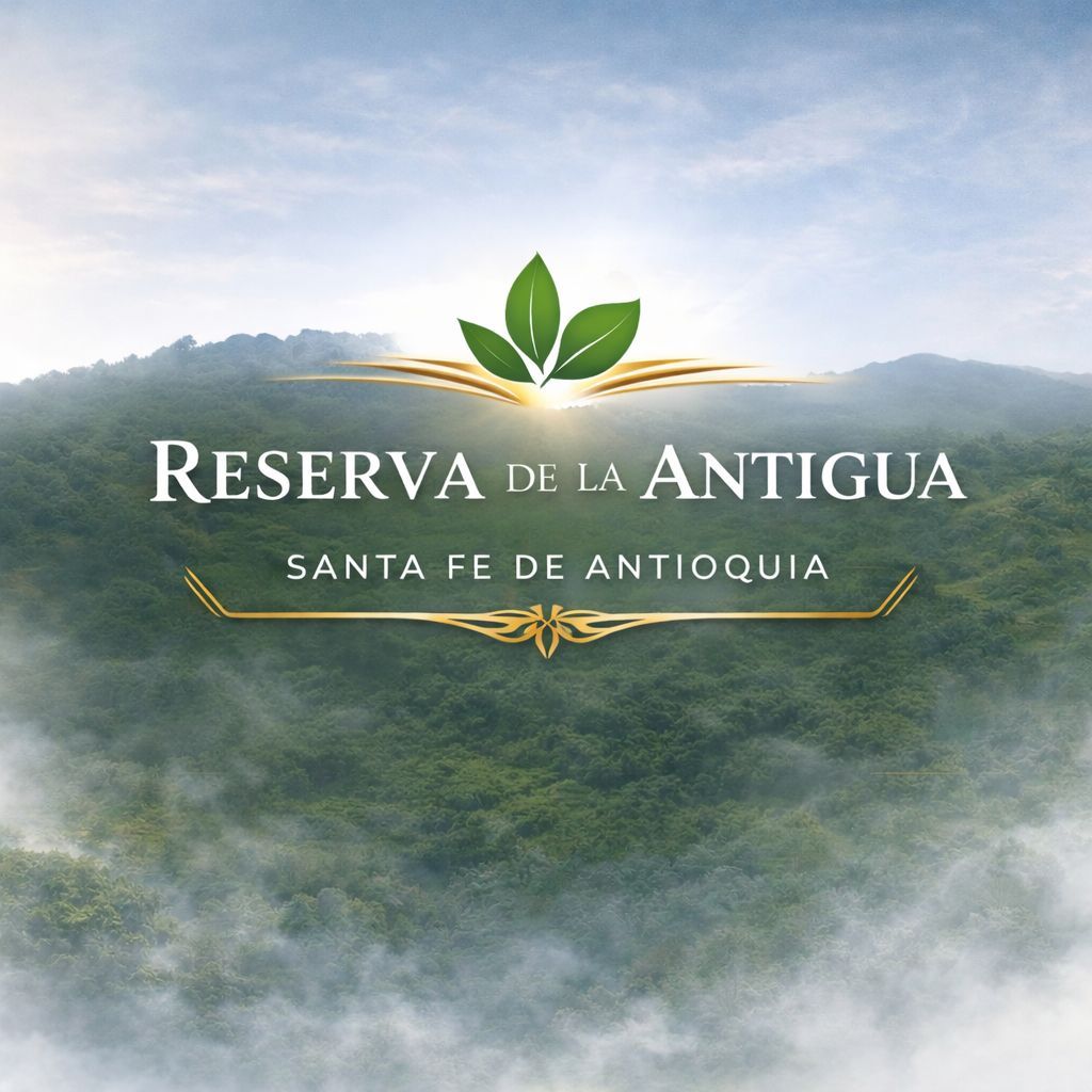 Lote Urbano en venta Antioquia Santafé De Antioquia Corregimiento Tonusco 200 m2 Habitaciones 0 Baños 0 Garajes 0 Precio $270000000