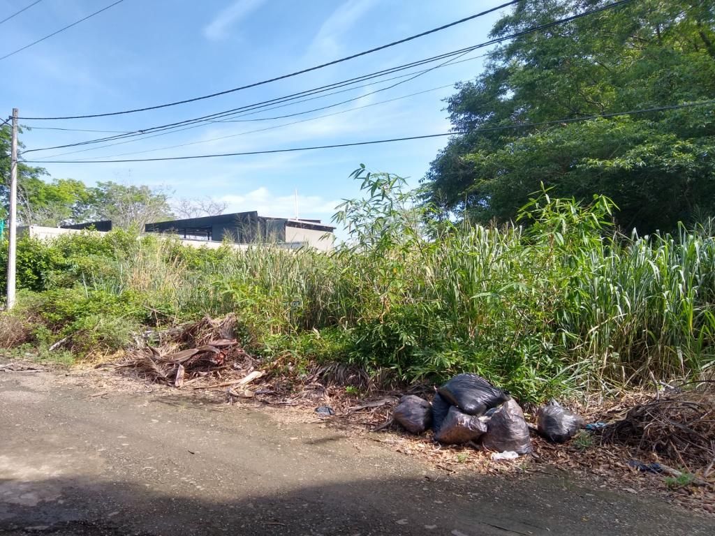 Lote en arriendo Norte De Santander Villa Del Rosario Villa Del Rosario 1250 m2 Habitaciones 0 Baños 0 Garajes 0 Precio $8000000