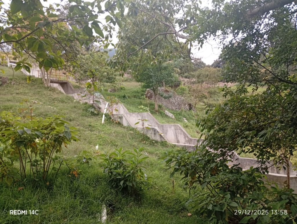 Lote en venta Norte De Santander Pamplonita Pamplonita 0 m2 Habitaciones 0 Baños 0 Garajes 0 Precio $350000000