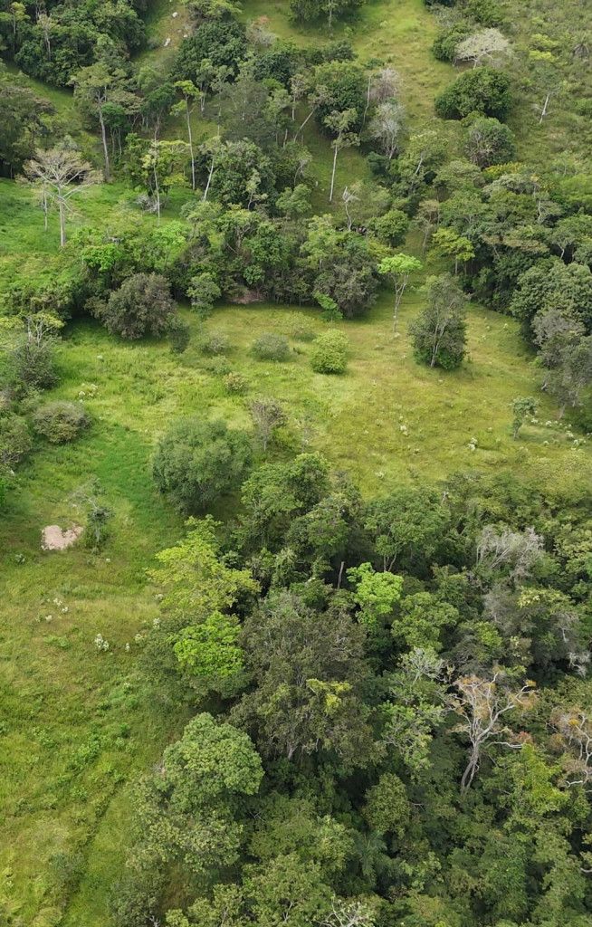 Lote en venta Norte De Santander Chinácota Chinácota 0 m2 Habitaciones 0 Baños 0 Garajes 0 Precio $1200000000