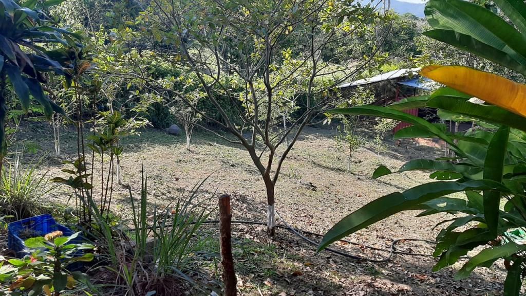 Casa Campestre en venta Norte De Santander Los Patios Los Patios 240 m2 Habitaciones 4 Baños 3 Garajes 0 Precio $800000000