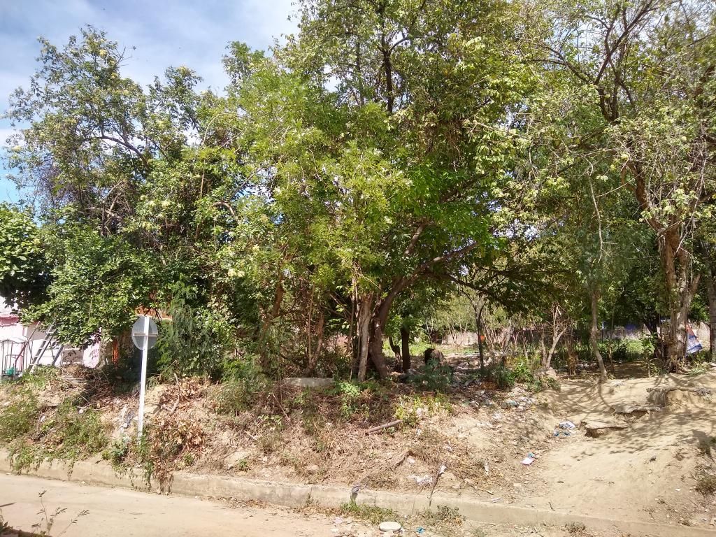 Lote en venta Norte De Santander Cúcuta El Salado 0 m2 Habitaciones 0 Baños 0 Garajes 0 Precio $500000000