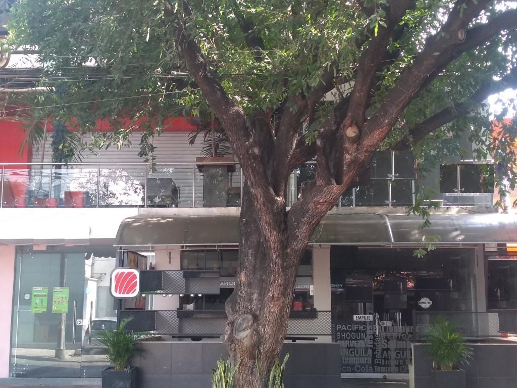 Edificio en venta Norte De Santander Cúcuta Caobos 677 m2 Habitaciones 0 Baños 1 Garajes 0 Precio $3200000000