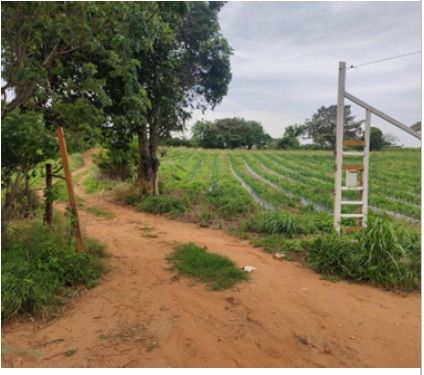 Lote en venta Norte De Santander Villa Del Rosario San Gregorio 0 m2 Habitaciones 0 Baños 0 Garajes 0 Precio $4000000000