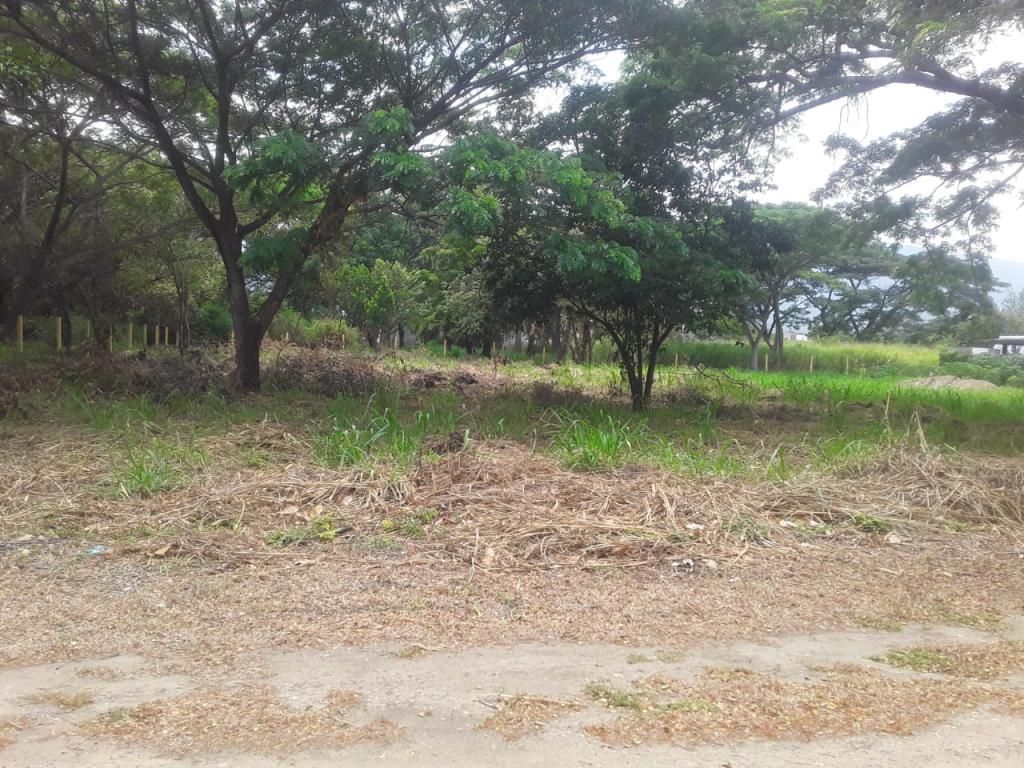 Lote en venta Norte De Santander Villa Del Rosario Gramalote 0 m2 Habitaciones 0 Baños 0 Garajes 0 Precio $350000000